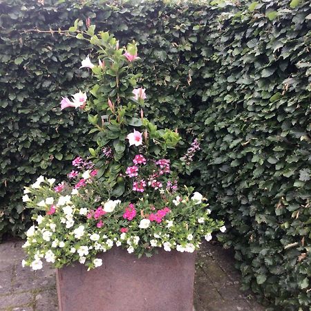 B&B De Veluwe Hoeve 埃尔贝克 外观 照片